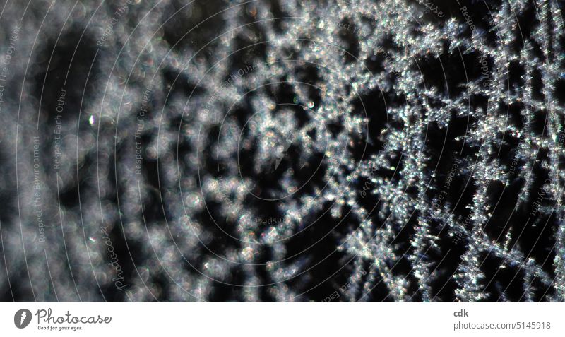Linien laufen kreuz und quer: ein Netzwerk aus Eiskristallen glitzert silbrig aus der Dunkelheit. Kristalle Frost Kälte Winter kalt gefroren Winterstimmung