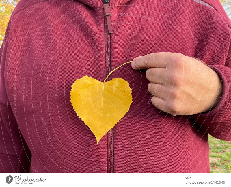 Für mehr Herzlichkeit im Miteinander. | ein Mann hält ein gelbes Blatt in Herzform vor seine Brust. Herzblatt Herbstblatt herzförmig Herbstfärbung Hand