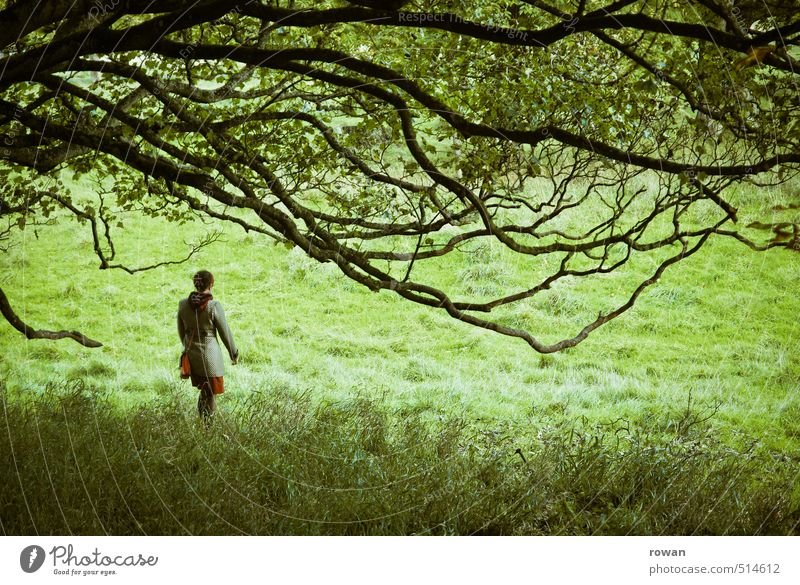 wandeln Mensch feminin Frau Erwachsene 1 Baum entdecken Spaziergang mystisch Park Ast grün Kleid gehen Farbfoto Außenaufnahme Textfreiraum unten Tag