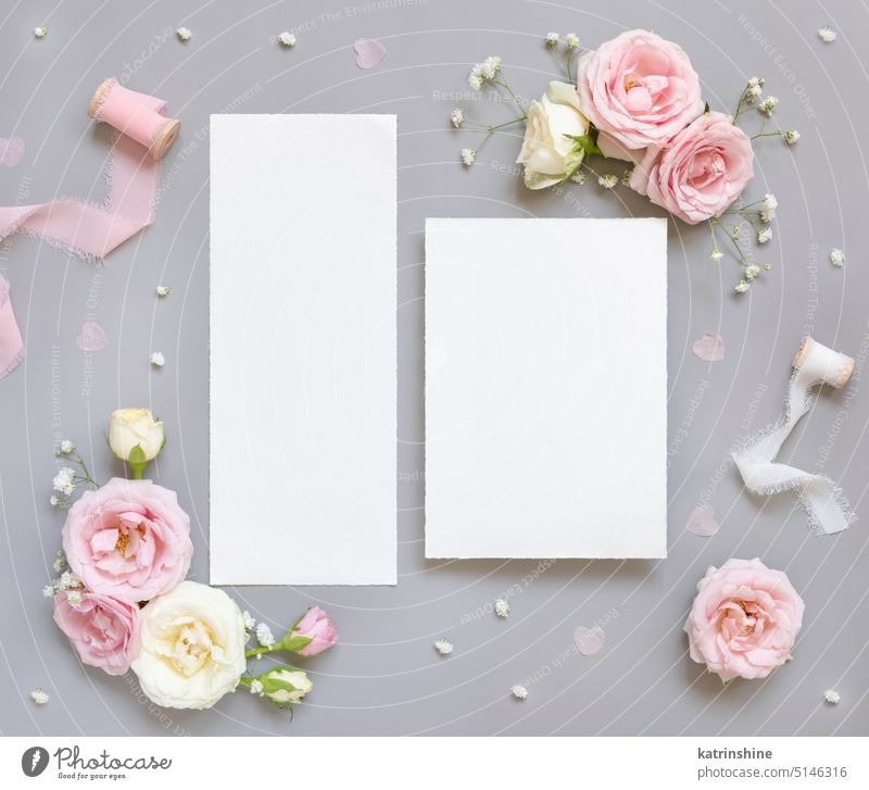 Blanko-Papier-Karten zwischen rosa Rosen und rosa Seidenbändern auf grauem Blick von oben, Hochzeit Mockup Attrappe Postkarte Blumen Draufsicht Bändchen