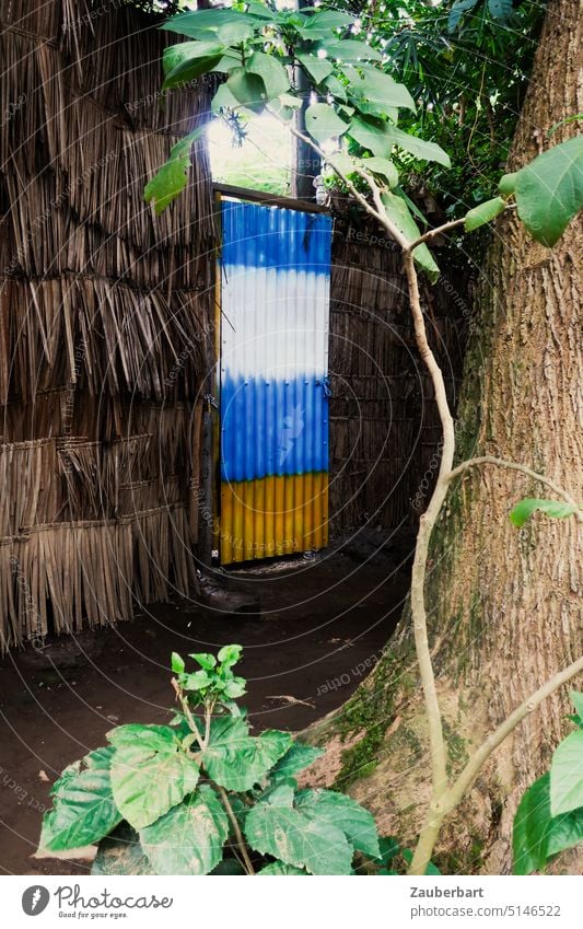 Farbig gestrichene Tür aus Wellblech in einer Wand aus getrockneten Blättern, Baum und geheimnisvoller Durchgang oder Eingang, auf einer Farm blau weiß gelb