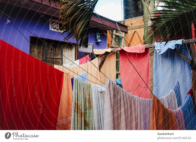 Bunte Wäsche auf Wäscheleinen vor farbigen Hauswänden und Palmenwedeln Textilien Kleidung Haushaltsführung frisch aufhängen trocknen Wäsche waschen trochnen