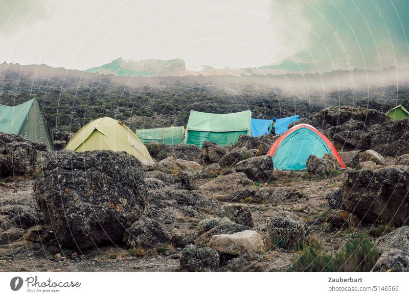 Bunte Zelte zwischen Felsbrocken in Wolken und Nebel am Kilimanjaro, Shira Camp 2 bunt Felsen Wandern Trekking Bergsteigen Abenteuer anstrengend einfach Wetter