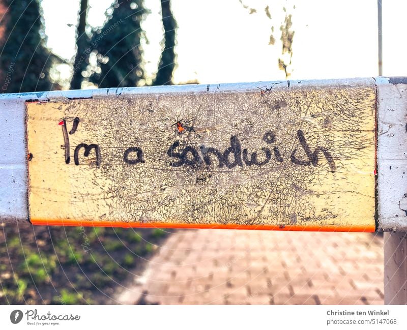unnötig | Schmierereien im öffentlichen Raum I'm a sandwich Text Graffiti Jugendkultur trashig Typografie Typographie Buchstaben Schwache Tiefenschärfe