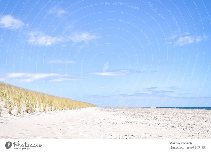 Düne am Strand der Ostsee mit Dünengras. Weißer Sandstrand an der Küste MEER Landschaft Urlaub Sommer Gras Natur Tourismus Erholung Wasser blau reisen Wind
