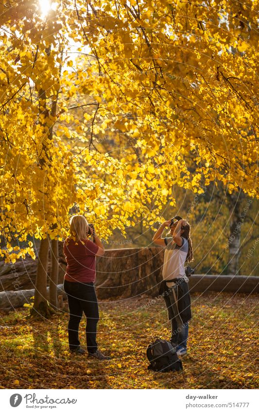 Bärensee 2013 | Alles Gold Mensch feminin Frau Erwachsene Freundschaft 30-45 Jahre Natur Pflanze Herbst Schönes Wetter Baum Park Wiese gelb rot weiß Blatt