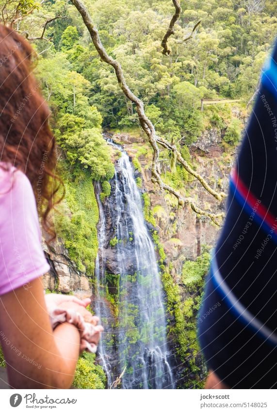 Blick auf den Wasserfall im Regenwald Natur Arme Ast Idylle Ferien & Urlaub & Reisen Erholung Aussichtspunkt fließen Umwelt Landschaft strömen Naturerlebnis