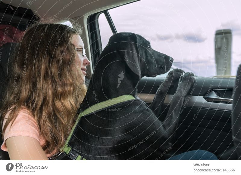 Das Mädchen und der Hund schauen aus dem Autofenster: Wann sind wir endlich am Ziel? Fahren PKW Mitfahrer Reise Ferien Urlaub verreisen ungeduldig langweilen