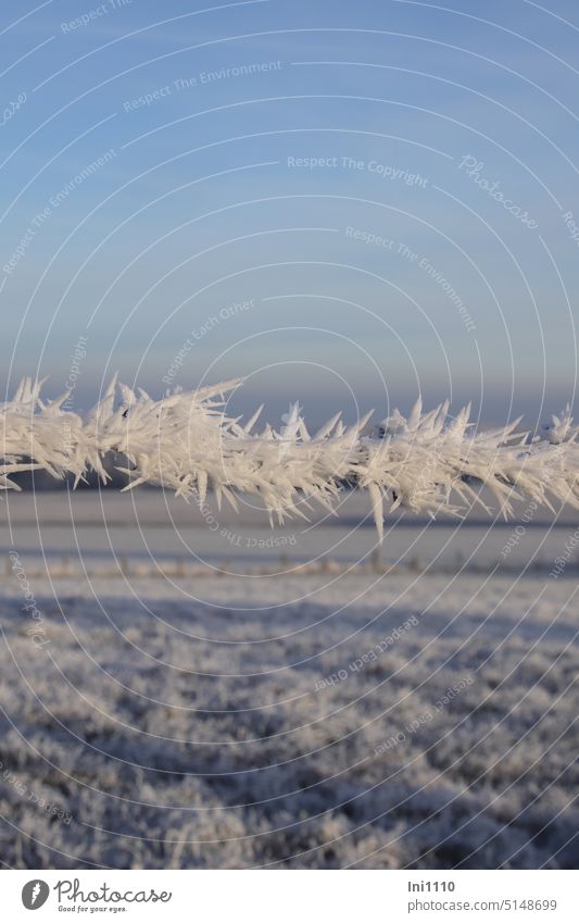 Wintertraum mit Stacheldraht Frost Landschaft Winterlandschaft schönes Wetter Raureif Raufrost Eiskristalle bizarre Formen Raueis Spitzen Kristallstrukturen