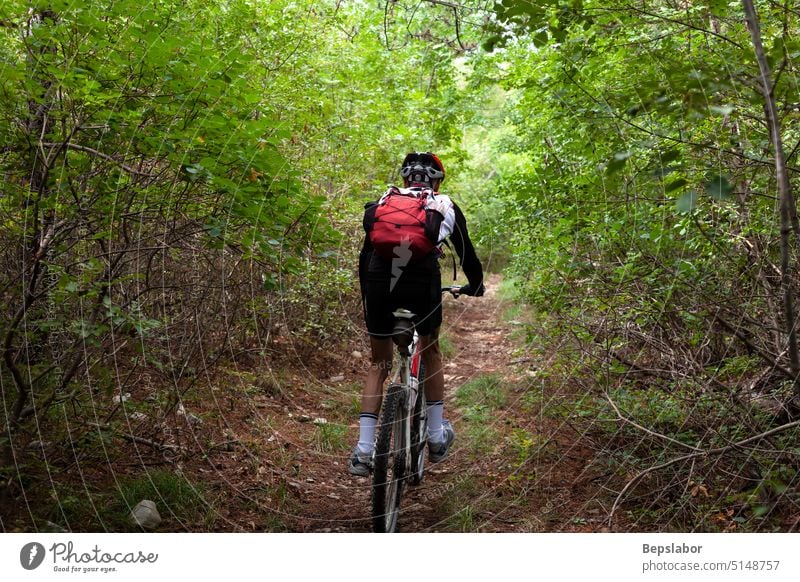 Mountainbiker beim Radfahren im Herbstwald Biker Sport Mann Wald Mitfahrgelegenheit Zyklus Person Nachlauf Fahrrad Abenteuer Aktion Konkurrenz Fitness Reiter