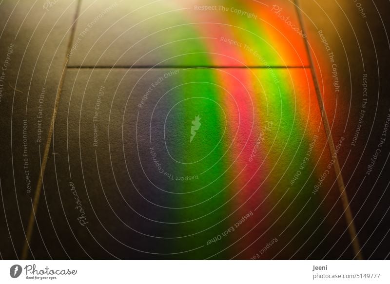 Regenbogenfarben auf dunklen Fliesen regenbogenfarben bunt fußboden Boden Bodenbelag Vielfältig Farbe farbig farbenfroh Spektralfarbe Licht Prisma Lichtbrechung