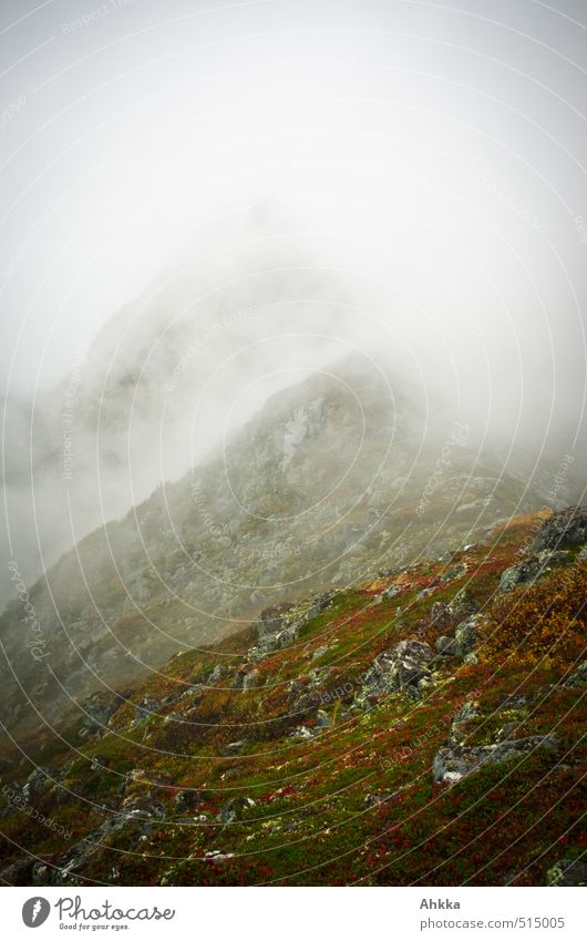 Vernebelung Übergewicht Wellness Meditation Abenteuer Ferne Freiheit Berge u. Gebirge Natur Landschaft Herbst Klima schlechtes Wetter Nebel Regen Gipfel grau