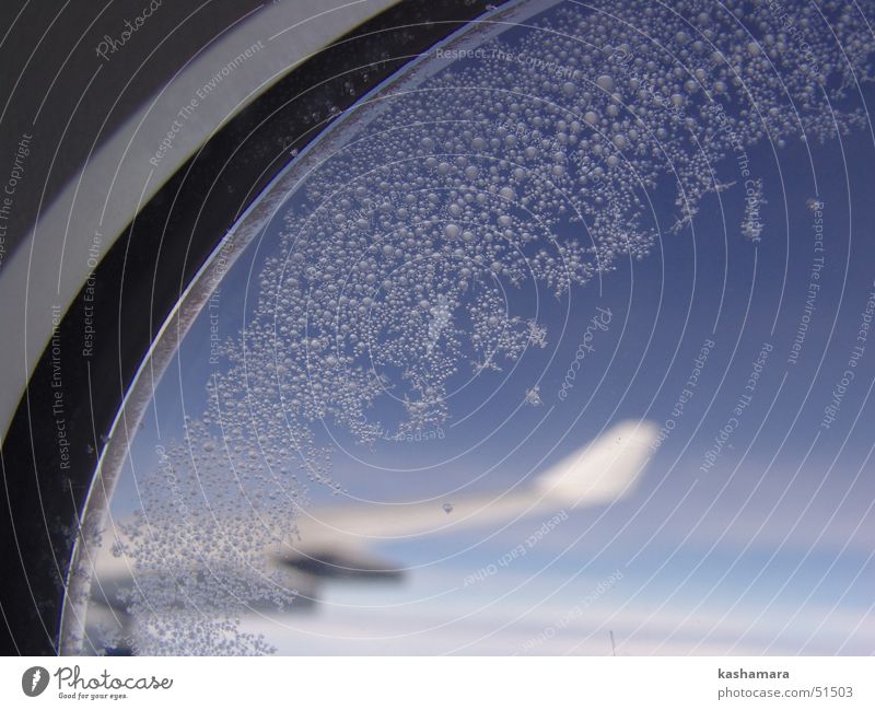 Eisblumen mit Flügel Luftverkehr Himmel Wolken Frost Blume Fenster Verkehrsmittel Personenverkehr Flugzeug Passagierflugzeug im Flugzeug Flugzeugausblick nass