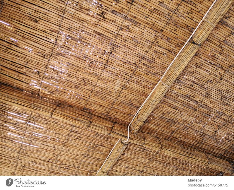 Dach aus Bastmatten und Korbgeflecht in Beige und Naturfarben im Sommer am Strand von Ayvalik in der Provinz Balikesir am Ägäischen Meer in der Türkei