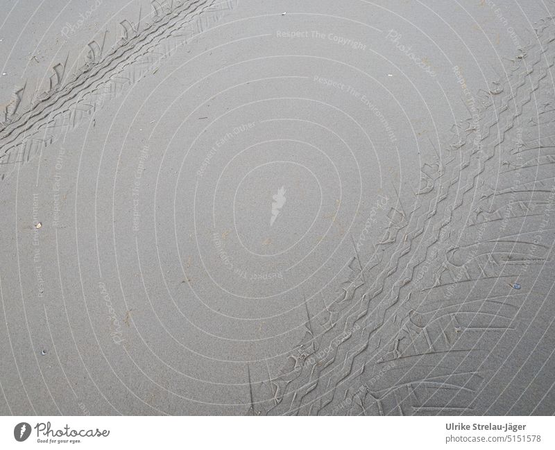 Reifenspuren im Sand am Strand Spuren Sandstrand Autospur Verkehr Verkehrsweg Abdruck Muster Strukturen & Formen Reifenprofil Profil Außenaufnahme Farbfoto