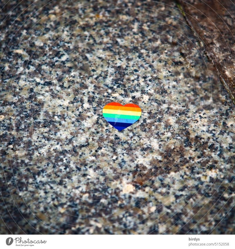 kleibes Herz in Regenbogenfarben regenbogenfarben bunt queer LGBTQ Symbole & Metaphern Homosexualität Gleichstellung Sexualität Liebe Vielfalt Toleranz