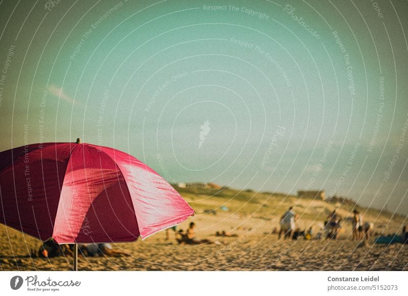 Sonnenschirm am Strand Urlaub Ferien & Urlaub & Reisen Sommer Sand Meer Himmel Tourismus Sommerurlaub Landschaft Erholung Schönes Wetter Sommerhitze Pink