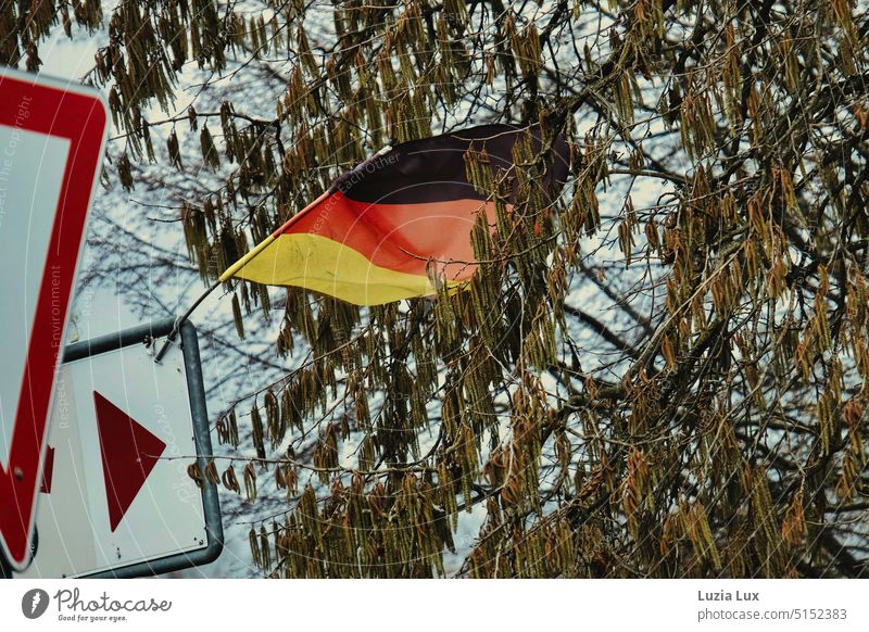Deutschlandfahne im Wind Deutschlandflagge wehen schwarzrotgold stürmisch Verkehrsschild Richtung Zweige u. Äste Deutsche Flagge Nationalflagge Politik & Staat