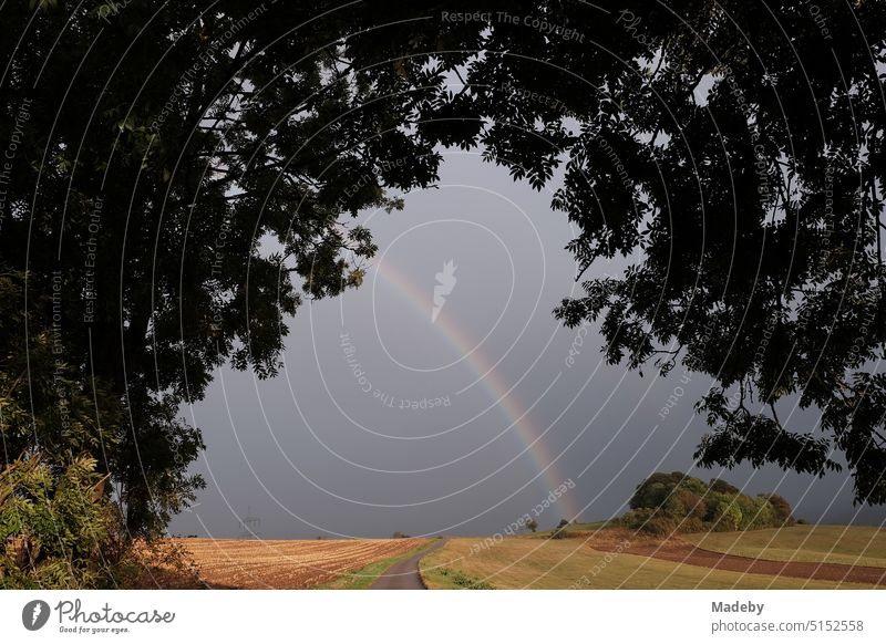 Schöner Regenbogen vor dunklem Himmel hinter alten Bäumen nach einem Gewitter in Gembeck am Twistetal im Kreis Waldeck-Frankenberg in Hessen acker Landschaft