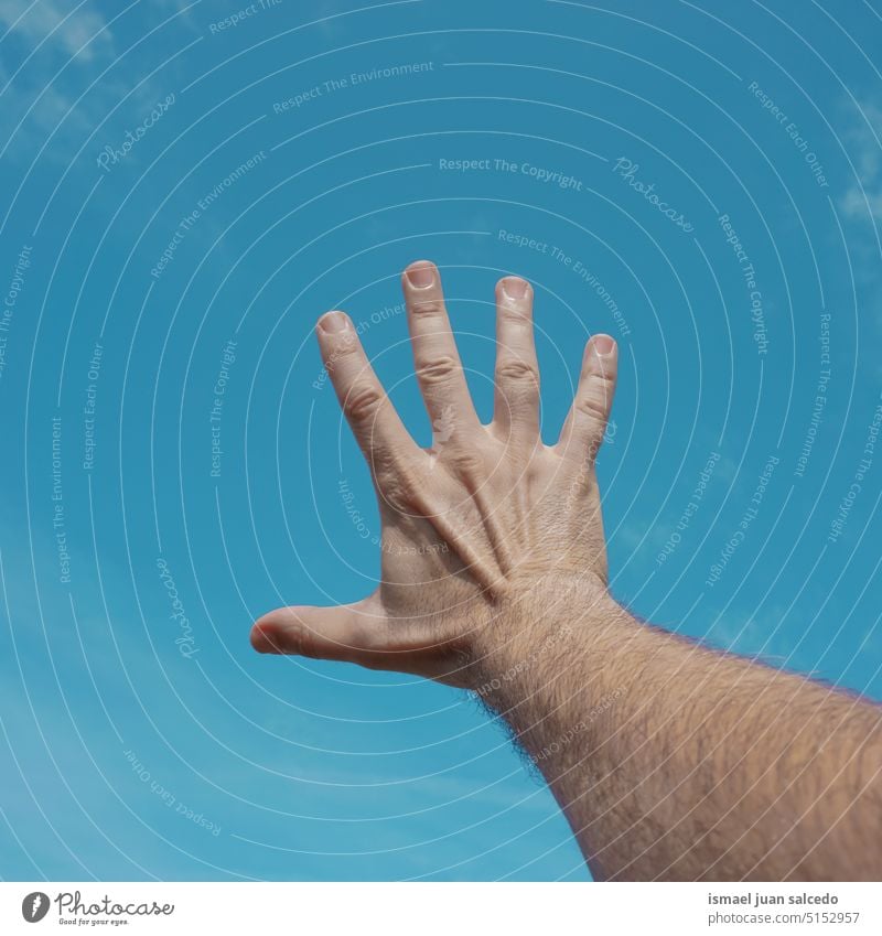 Hand nach oben, in den Himmel gestikulieren, sich frei fühlen Arme Finger Haut Handfläche Körperteil hochreichen Hand erhoben Arm angehoben Blauer Himmel Sonne