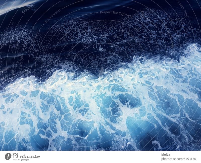 Wellengang Meer Wasser Planet Erde Umwelt Natur Kontrast Veränderung Dynamik Bewegung element Zukunft Außenaufnahme dunkel hell Muster reisen Querformat Gefahr