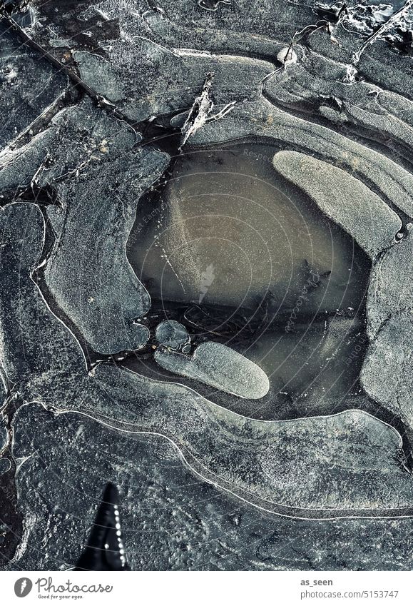 Schwarzes Eis Frost gefroren Pfütze Eisschollen Winter kalt Menschenleer Außenaufnahme Wasser Umwelt abstrakt Strukturen & Formen Schwarzweißfoto bizarr frieren