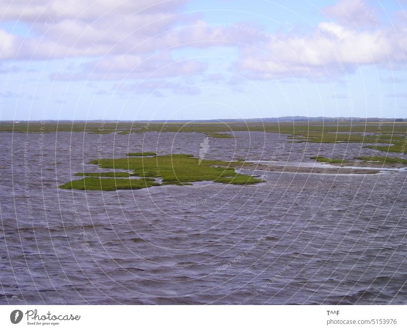 Dänemark Nordwest Jütland - Das Meer mit kleinen grünen Inseln Nordsee Fjord Wasser Wellen Himmel Wolke Wolken Grasinseln Inselchen Küste Wind Natur natürlich
