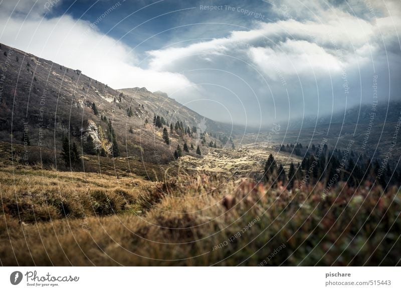 Heimat Natur Landschaft Gewitterwolken Herbst Klima Nebel Berge u. Gebirge dunkel braun Abenteuer Österreich Farbfoto Außenaufnahme Menschenleer Tag Unschärfe
