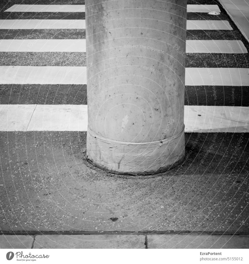 Zebra (plump) Straße Asphalt Fußgängerübergang Zebrastreifen Streifen Linien Verkehr Sicherheit schwarz weiß Säule