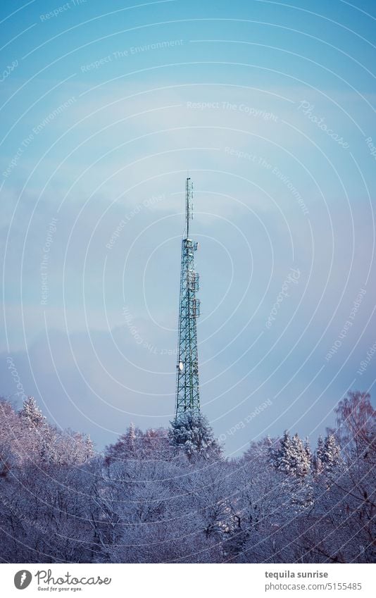 Funkturm im Winter Wald Turm Technik Schnee Antenne Rundfunk Mast TV-Antennen TV-Turm Informationstechnologie Kommunikation Radio Radioantenne Radioturm