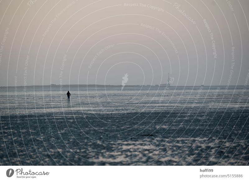 ein einsamer Mensch wandert im Wattbei Abenddämmerung Richtung Wangerooge Wattwanderung Nordseeinsel Erholung Himmel Ferne Abendstimmung Dämmerung Stimmung