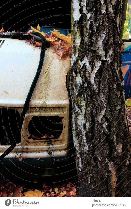 Altes Auto an Baum gefahren Herbst Schrott Unfall kaputt Fahrzeug PKW Verkehrsunfall Außenaufnahme Menschenleer Farbfoto Totalschaden Schaden Blechschaden