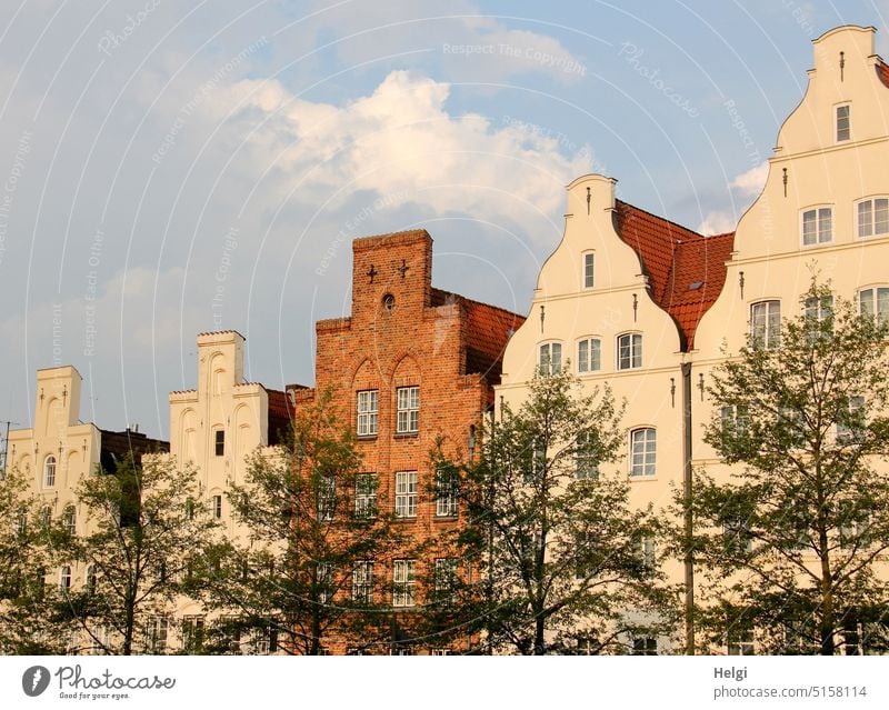 historische Häuserfassaden hinter einer Baumreihe vor blauem Himmel mit Wölkchen Gebäude Bauwerk Haus Fassade alt Lübeck Altstadt Giebel Fenster Architektur