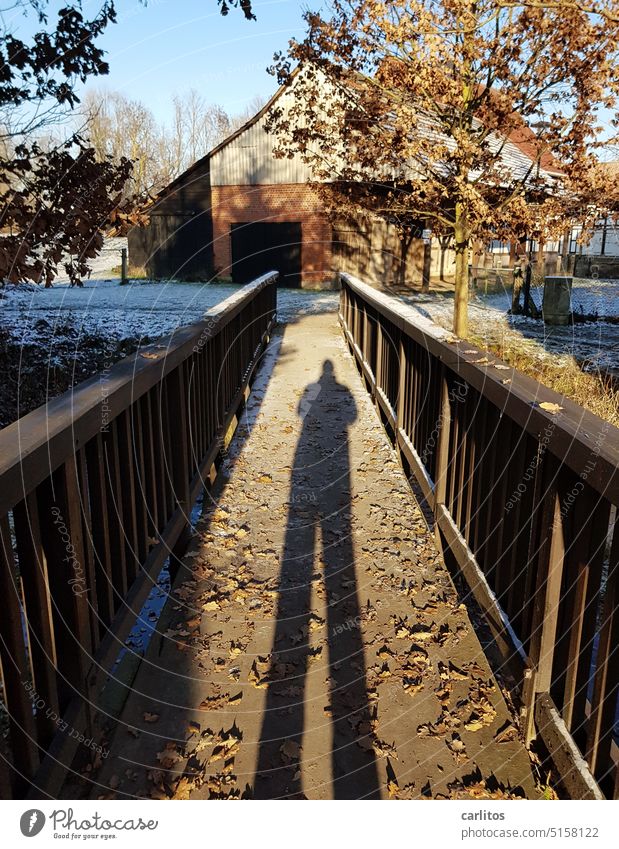 Wenn die Sonne tief steht werfen auch Zwerge lange Schatten Mann Brücke Geländer Laub Schnee Bauernhof Himmel Architektur Brückengeländer blau Sonnenlicht