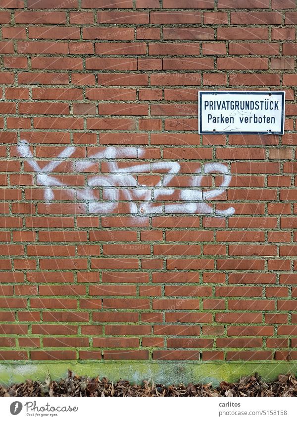 Ich kann gar nicht soviel fressen, wie ich ........  | Graffito "vomieren" in Umgangangssprache Wand Klinker Privatgrundstück Parken Verboten Kotze