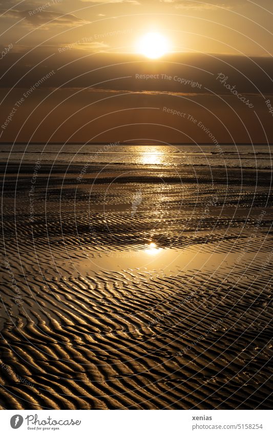 Sonnenuntergang bei Ebbe in gelblichen Tönen mit Spiegelung am Wattenmeer Abend Nordsee Stimmung Strand Ferien & Urlaub & Reisen Landschaft Horizont Gezeiten