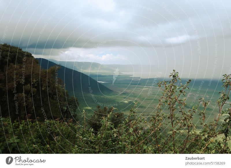 Blick vom Kraterrand in den Ngorongoro-Krater, weiter Blick mit Wolken, Büsche im Vordergrund Weite Himmel grün Landschaft Safari Tansania Natur Afrika