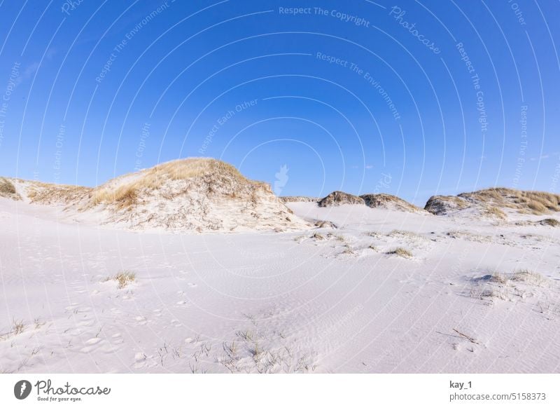 Dünenlandschaft mit weißem Sand unter blauem Himmel Dünengras Strand Natur Landschaft Nordsee Küste Erholung Sandstrand dünenlandschaft Nordseeküste