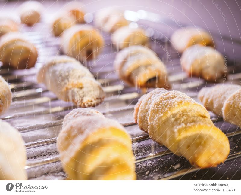 Frisch gebackene ukrainische Kekse mit Puderzucker, der aus einem Sieb überfließt. Holzplatte Brötchen Cookies Essen zubereiten Lebensmittel Hand selbstgemacht