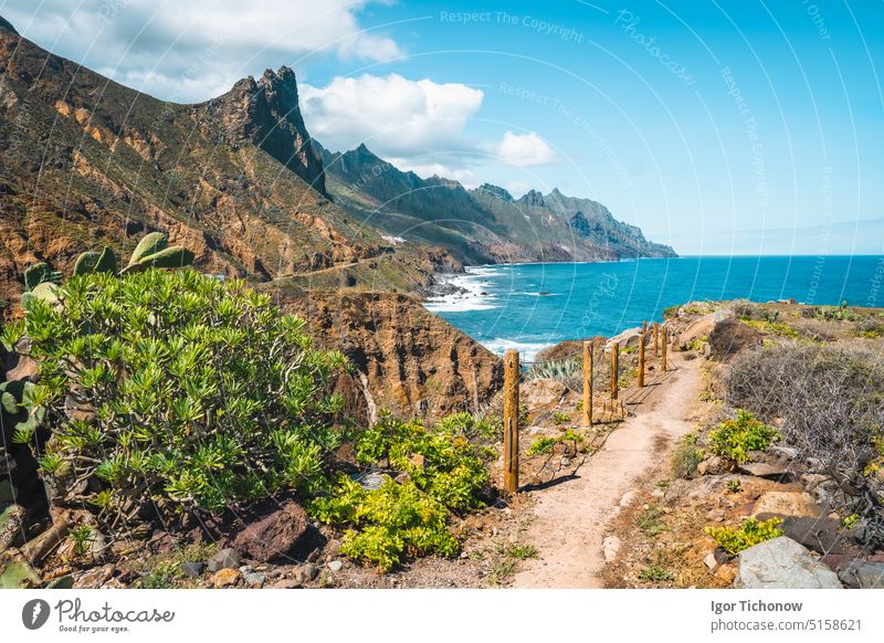 Landschaft mit malerischem Weg durch die felsige Landschaft und Kämme von Bergspitzen. Die Wellen des blauen Atlantiks schäumen. Teneriffa, Anaga-Nationalpark. Unesco-Erbe. Roque de las Animas.