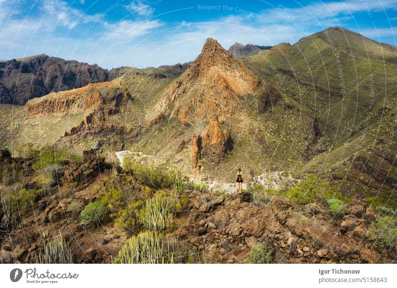 Atemberaubender Blick auf die Berge im Süden der Region Teno mit Blick auf den Montana Guama auf Teneriffa, Gran Canaria, Spanien Landschaft reisen Natur