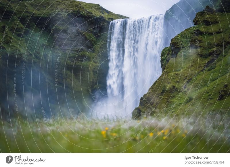 Der berühmte Wasserfall Skogarfoss im Süden von Island skogarfoss malerisch strömen reisen Landschaft fallen Kaskade Fluss isländisch Europa Natur Abenteuer