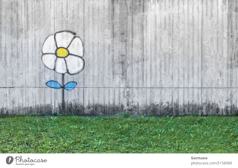Graffiti eines Gänseblümchens Kunst Künstler Hintergrund schön blau Dose Großstadt Farbe Farben Konzept Beton kreativ Kreativität Design Blume Gras grün Grunge