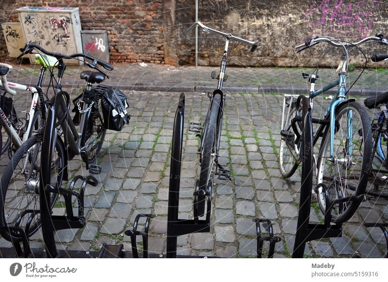 Fahrradständer mit typischen Hollandrädern mit Satteltasche vor altem Backstein mit Graffiti und Verteilerkasten in einer Gasse mit Kopfsteinpflaster in der Altstadt von Maastricht an der Maas in der Provinz Limburg der Niederlande