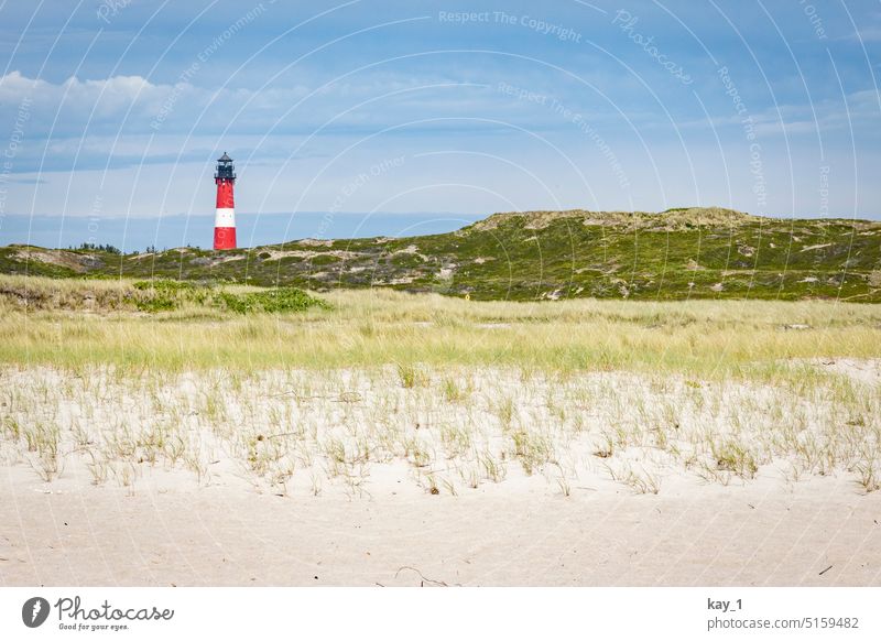 Düne mit Leuchtturm Dünengras Küste Landschaft Ferien & Urlaub & Reisen Strand Sand Natur Nordseeküste Dänemark Erholung blau Horizont weite dünenlandschaft