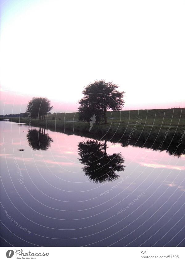 spiegelung violett Reflexion & Spiegelung Baum ruhig Wasser Himmel Klarheit Abend