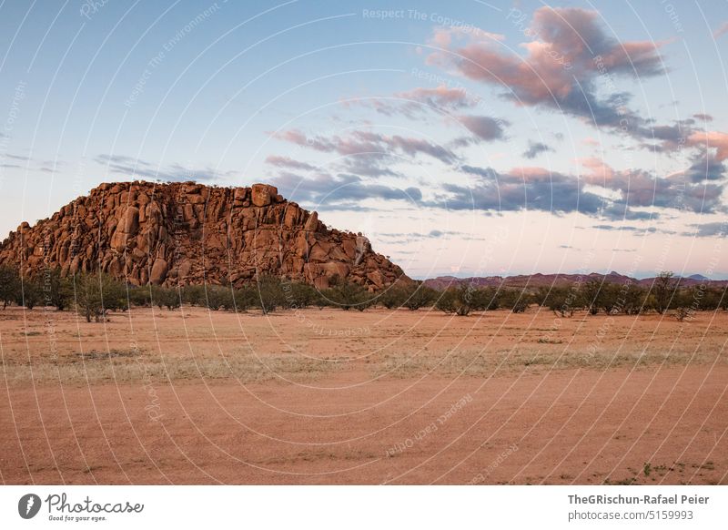 Wüste, Hügel beim Sonnenaufgang Namibia Felsen Afrika Sand Einsamkeit Ferien & Urlaub & Reisen Abenteuer Natur Ferne Landschaft Wolken sandig Sträuche