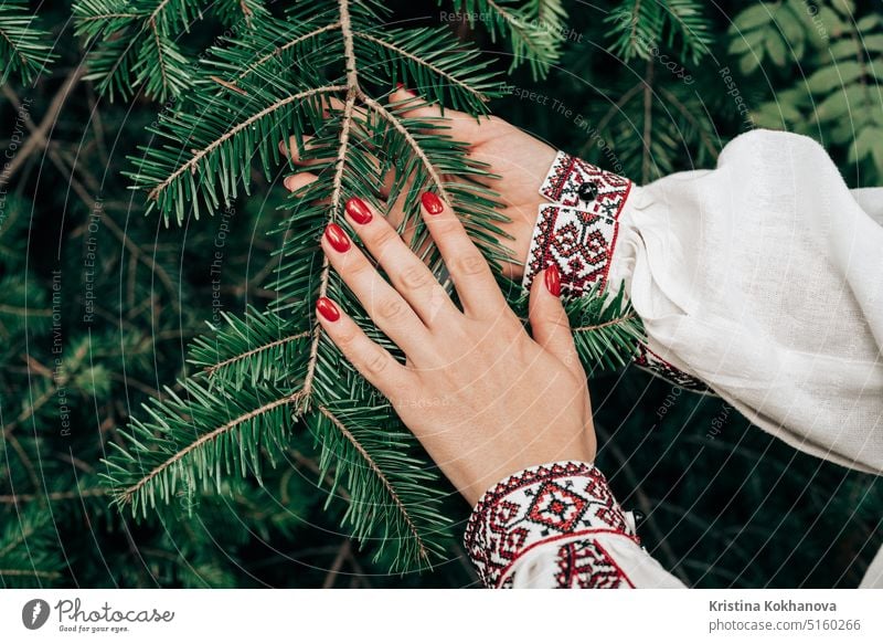 Frauenhand im bestickten ukrainischen Kleid berührt Fichtenzweig im Wald Aufforstung alpin Hintergrund schön Ast Karpatengebirge übersichtlich Klima Nahaufnahme
