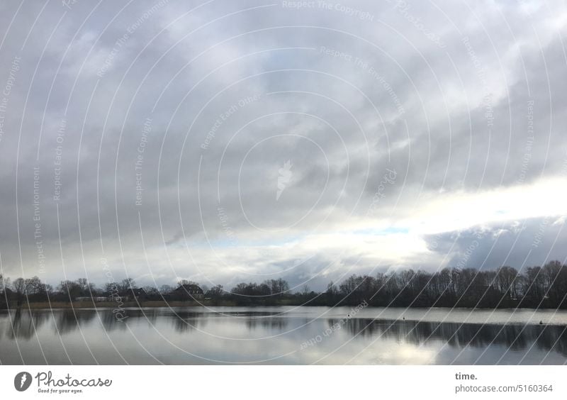 farbreduziert | Lichtblick See Landschaft Wolken Natur Reflexion & Spiegelung Horizont Baumreihe Oberfläche Wasser Naherholung Freizeit Entspannung Erholung