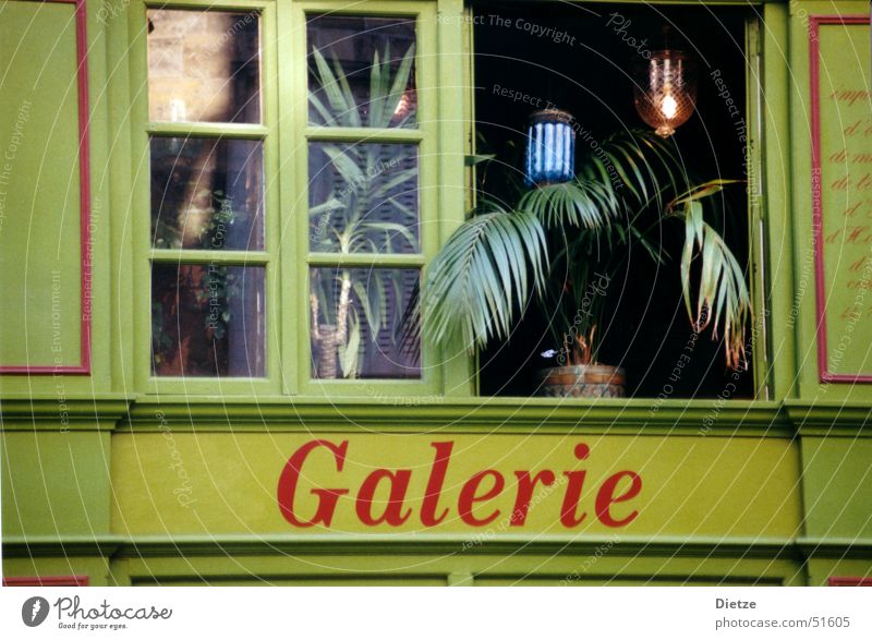 galerie grün Fenster Zimmerpflanze Paris Stimmung Empore Detailaufnahme Architektur